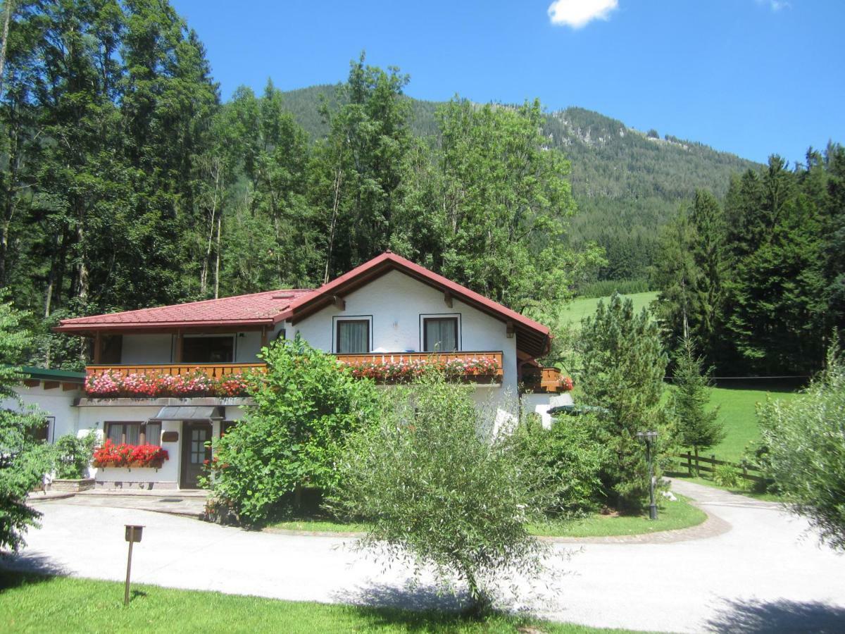 Apartmán Waldhaus Hinterstoder Exteriér fotografie